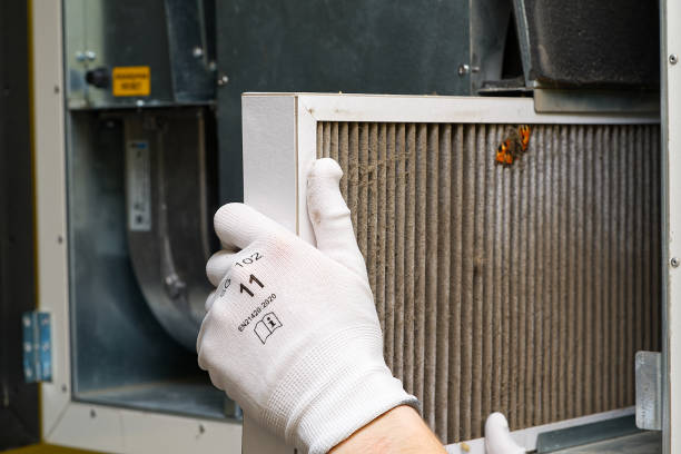Best HVAC Maintenance and Cleaning  in Fridley, MN
