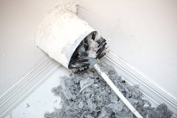Best Home Air Vent Cleaning  in Fridley, MN